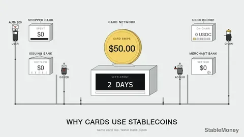 Why Visa and Mastercard Are Adopting Stablecoin Payment Networks