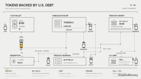 Why Your Stablecoin Is Actually a Bet on U.S. Government Debt