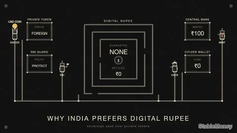Why India Prefers a Government Token Over Global Stablecoins