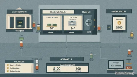 What's Inside a Digital Dollar's Vault?