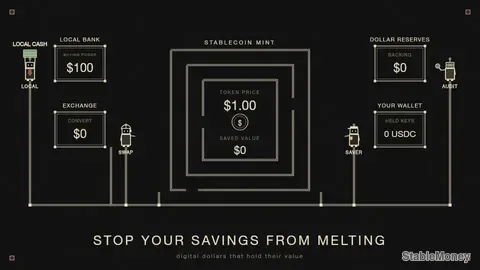 Stop Your Savings From Melting: A Guide to Stablecoins