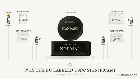 Why the EU Labeled USDC a 'Significant' Stablecoin
