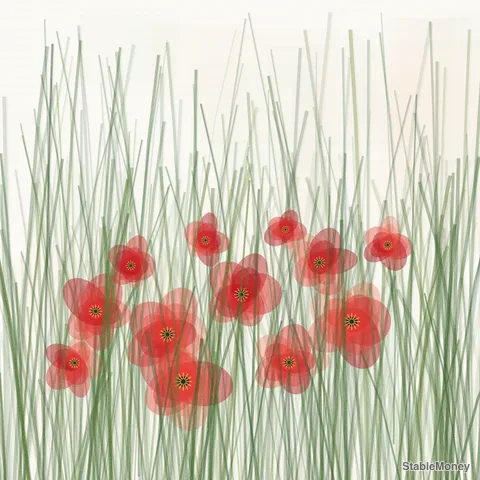 poppies in long grass