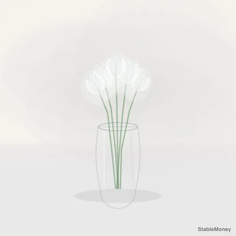 white tulips in a jar