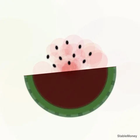 a slice of watermelon