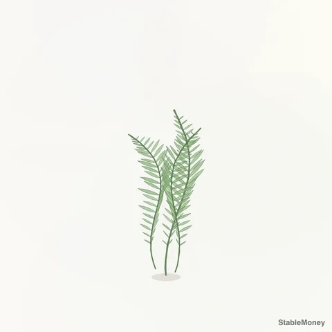 a fern on pale paper