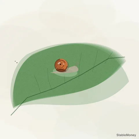 a snail on a leaf