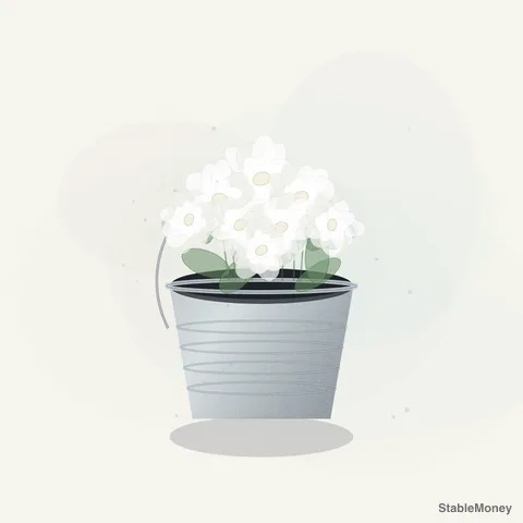 white roses in a bucket
