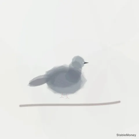 a grey pigeon