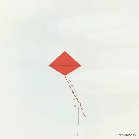 a red kite in a pale sky