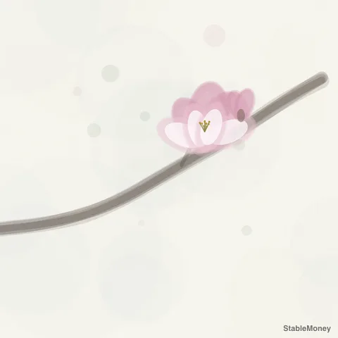magnolia on a branch