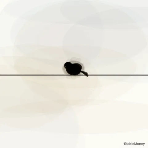 a sparrow on a wire